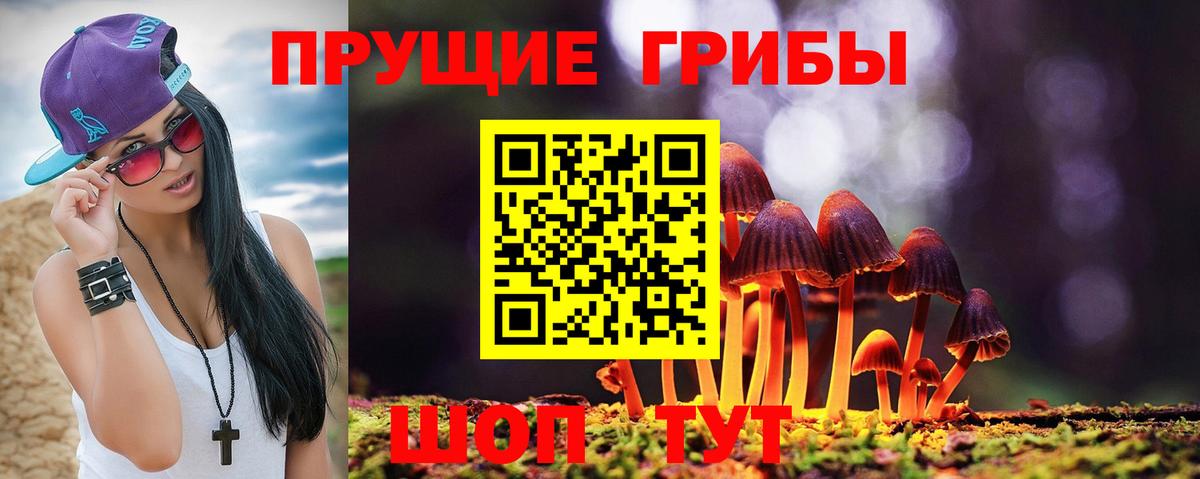 Псилоцибиновые грибы Magic Shrooms Карачаевск