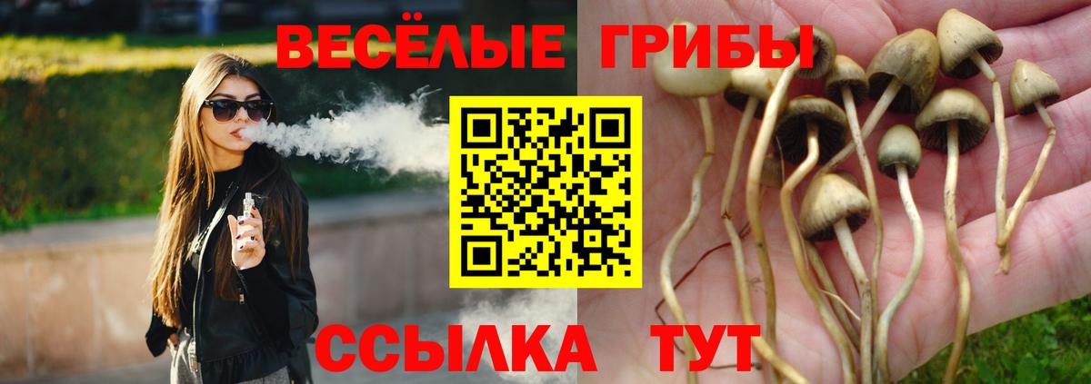 Карачаевск  Галлюциногенные грибы мухоморы  Вход с VPN 